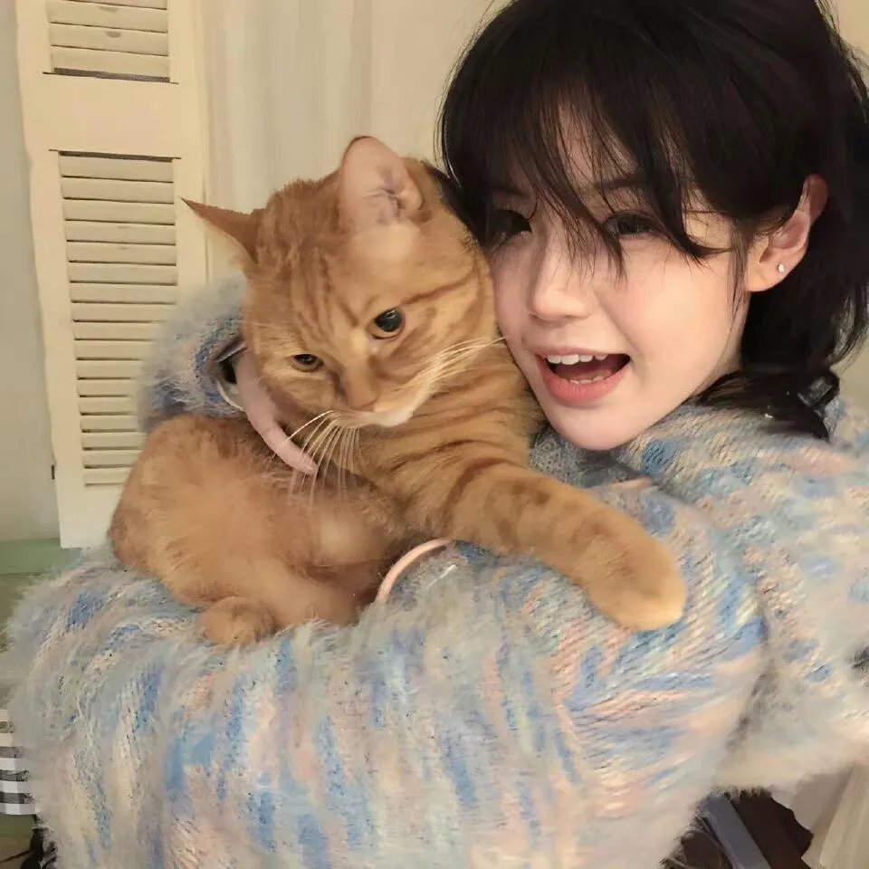 哆啦A梦：大雄的南极冰冰凉大冒险