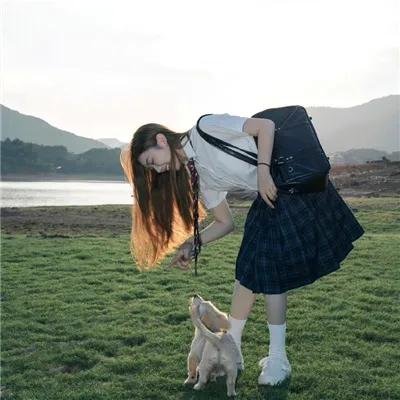 小小驯鹿艾略特